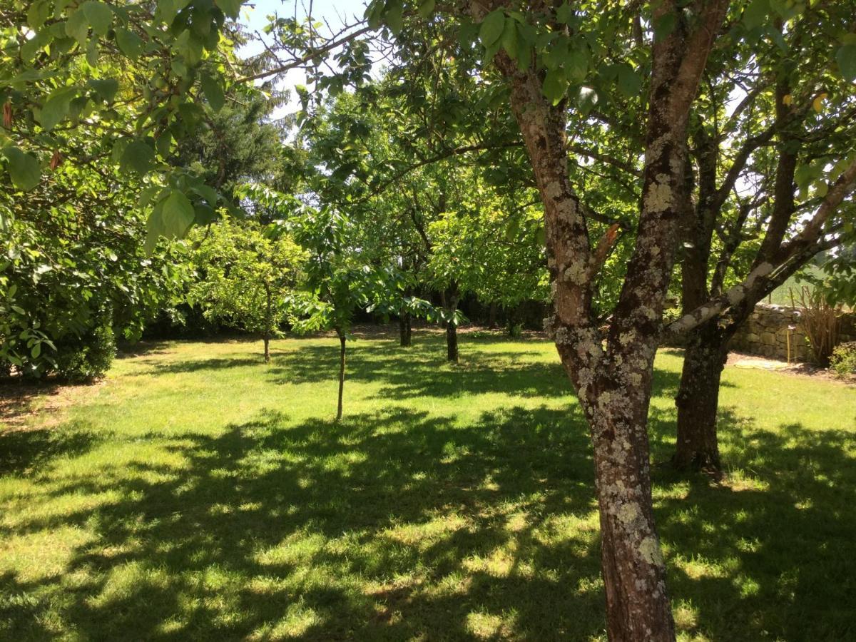 Les Noyers Aulnay Bed & Breakfast Aulnay  Eksteriør bilde